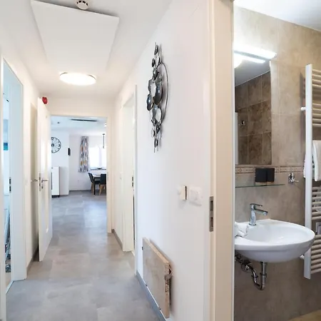 Marina - Ammonite By Locap Group