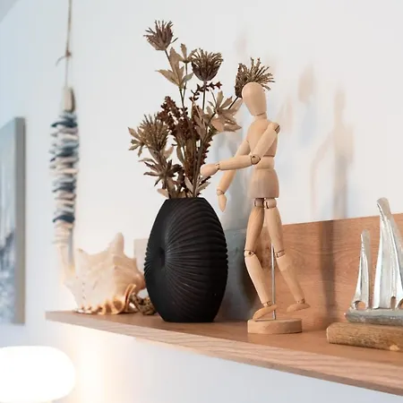 Marina - Ammonite By Locap Group