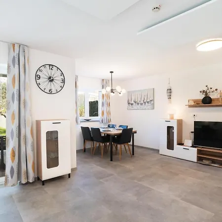 Marina - Ammonite By Locap Group *