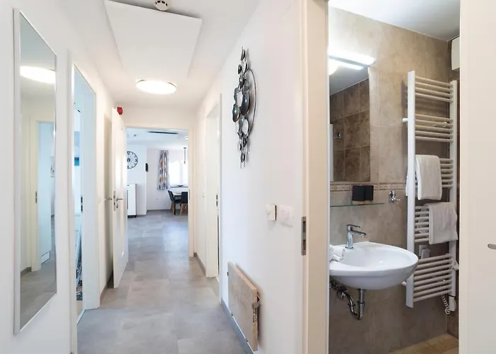 Marina - Ammonite By Locap Group