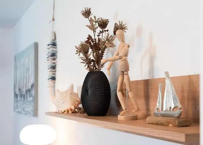 Marina - Ammonite By Locap Group